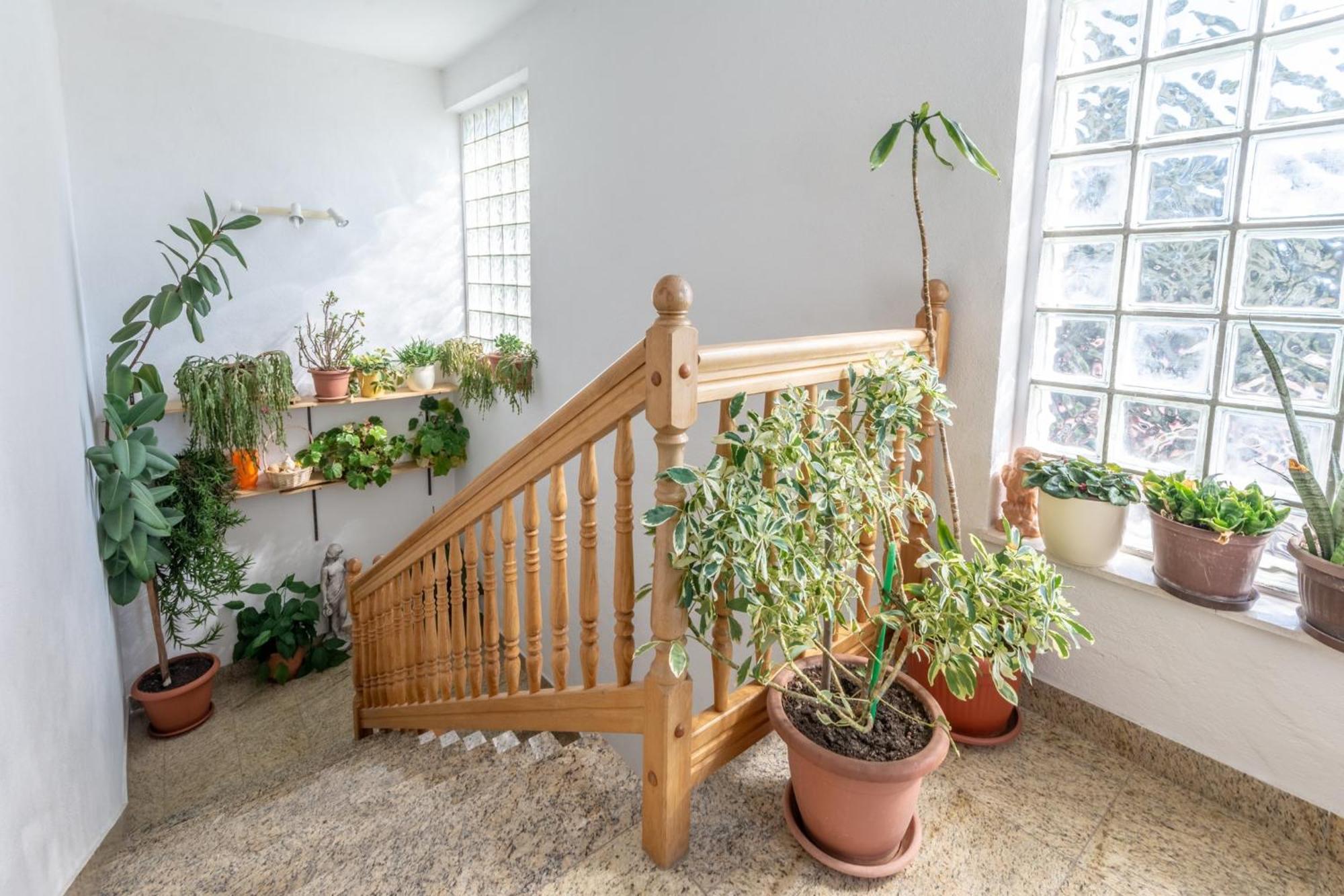 Apartments Mimi Trogir Bilik gambar