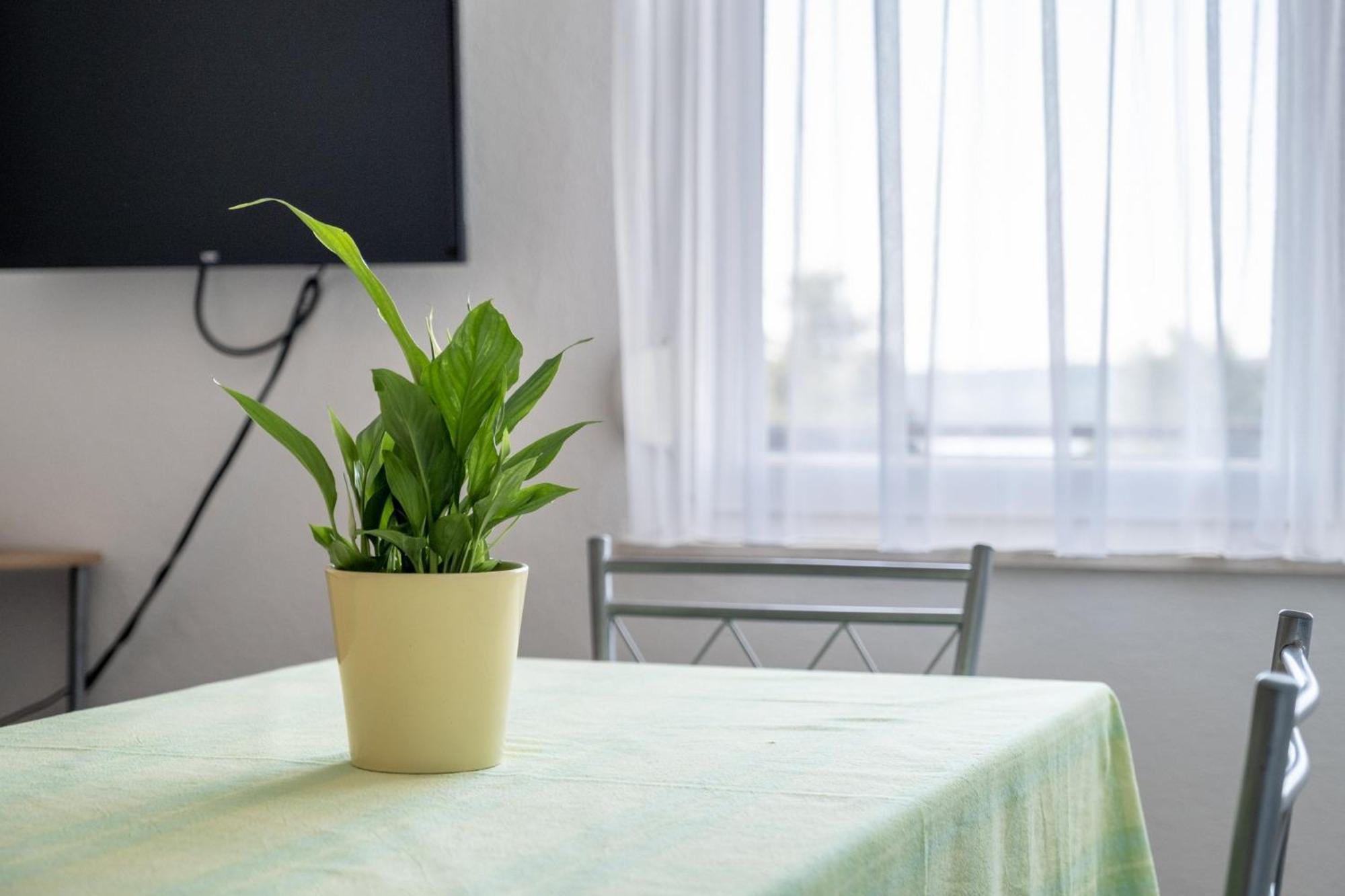 Apartments Mimi Trogir Bilik gambar